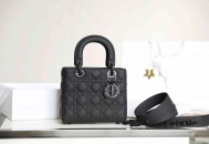  Dior Ultra Mat袖珍手提包